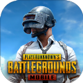 pubg黑暗直装2.8