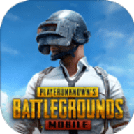 pubg国际体验服下载官方正版