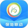 保处联动官方