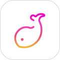伴鱼音乐音基题库app