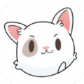 PPXDM夏日重现