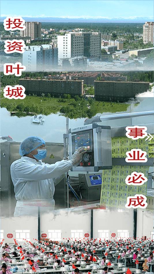 叶城好地方安卓版