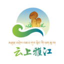 云上雅江免费版