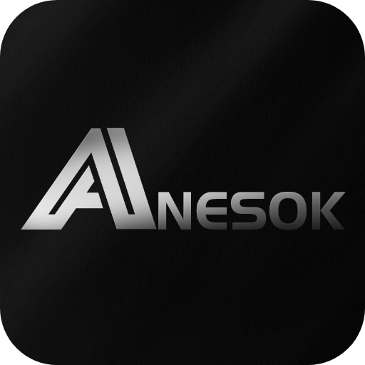 ANESOK最新版