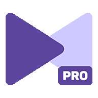 KMPlayerPro官网版